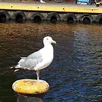 Sea Sun Apartmán