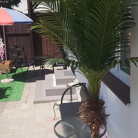 Sea Sun * ダルウフコ