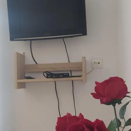 Apartament Sea Sun Darłówko