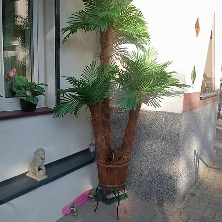 Sea Sun ダルウフコ