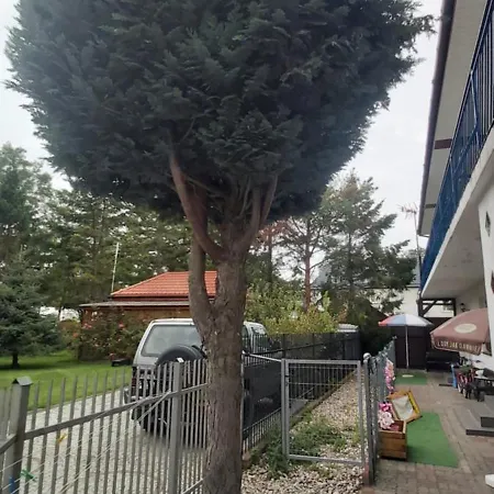 Sea Sun ダルウフコ