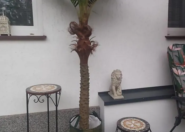 Sea Sun Apartment Darlowko